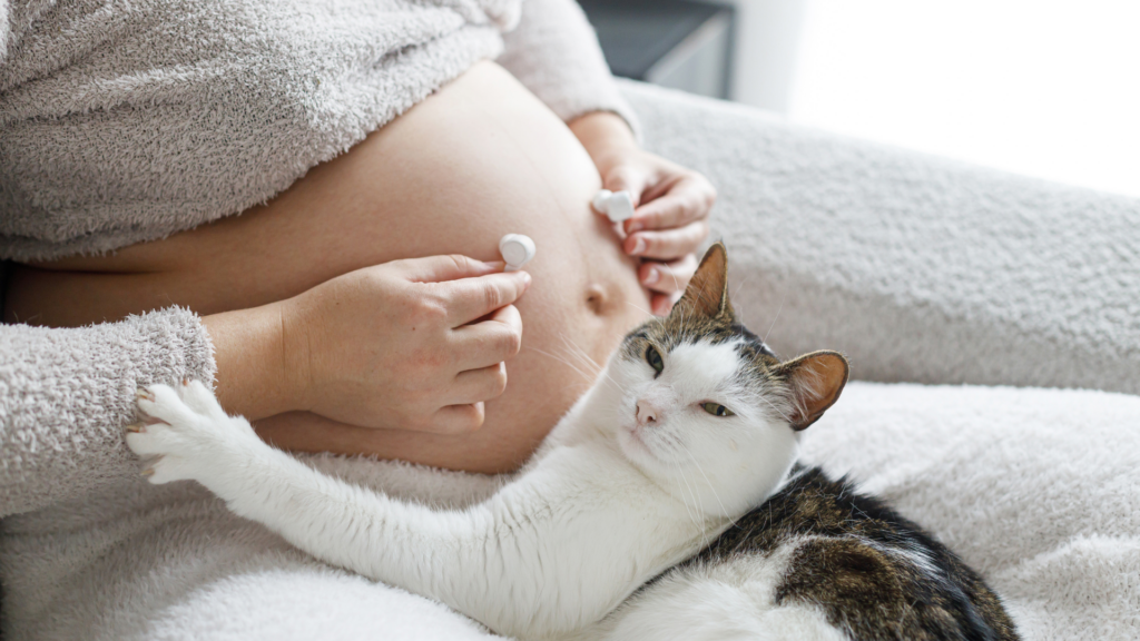 妊婦と猫