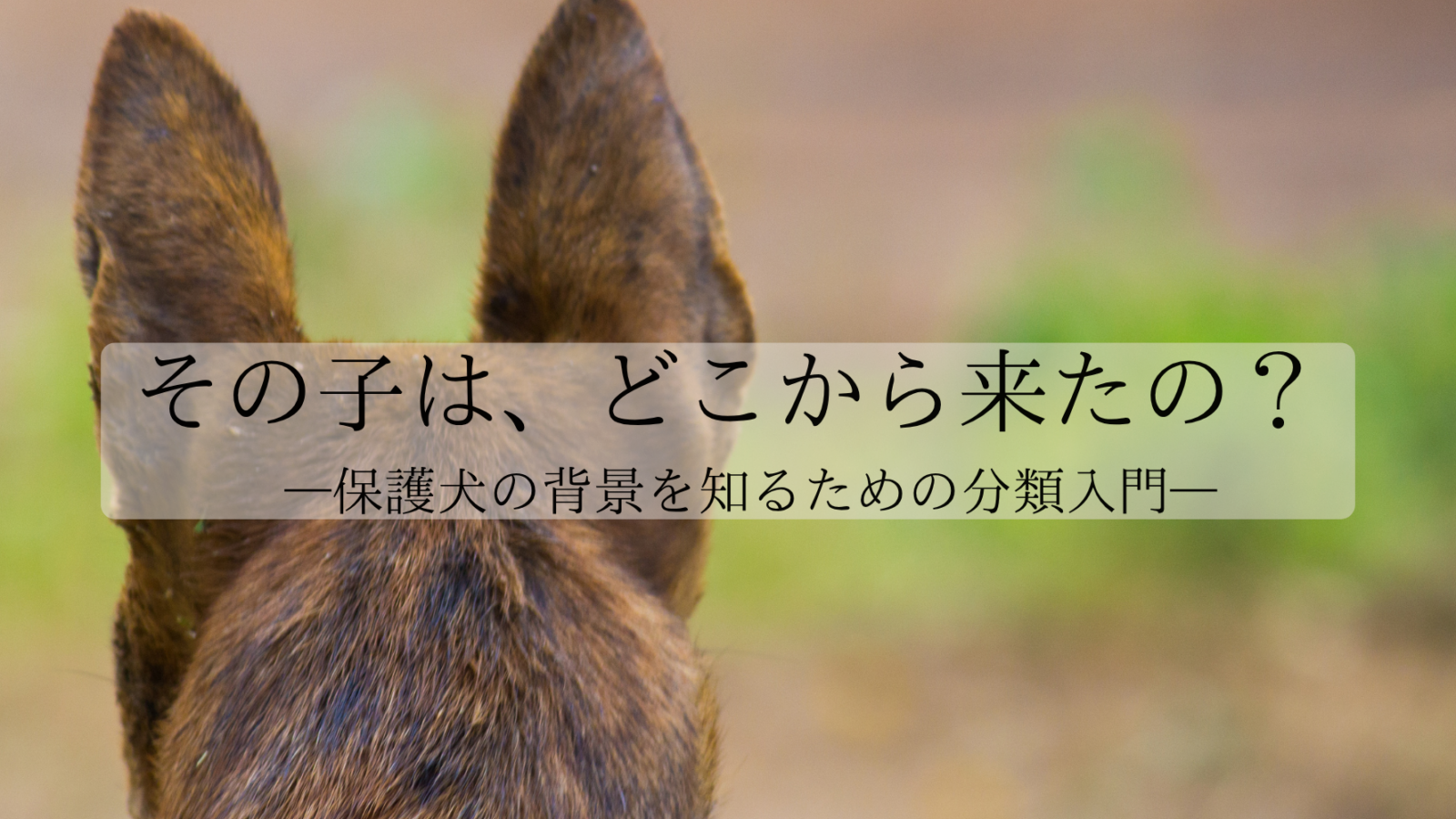 その子は、どこから来たの？ —保護犬の背景を知るための分類入門—