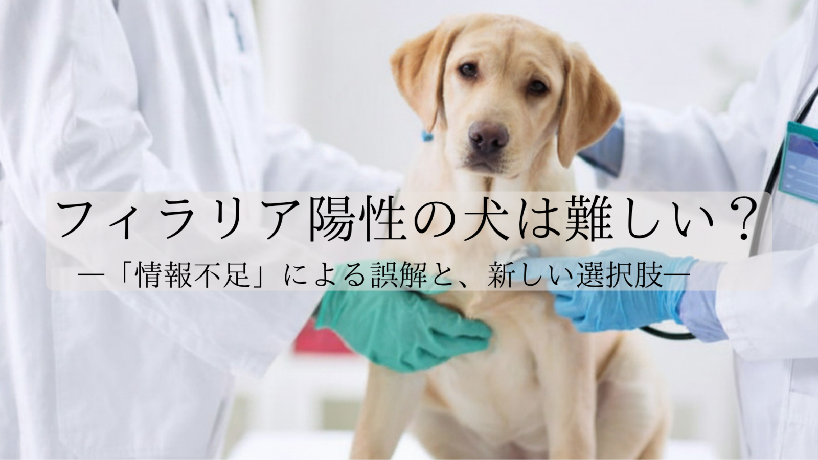 フィラリア陽性の犬は、難しい？
