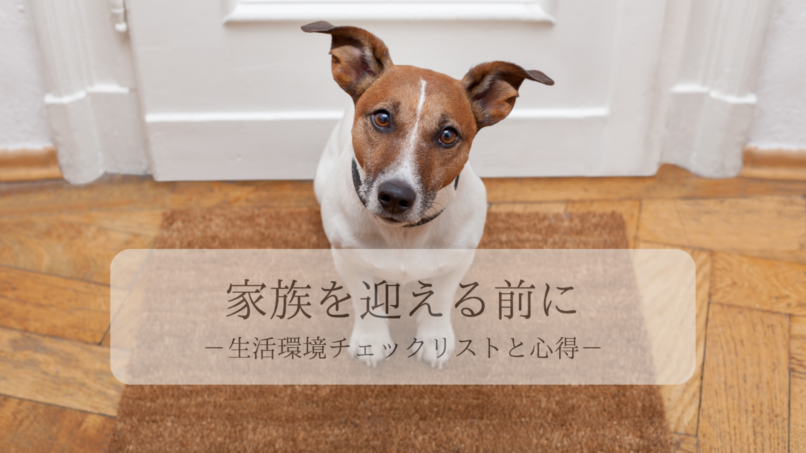 家族を迎える前に：生活環境チェックリストと心得